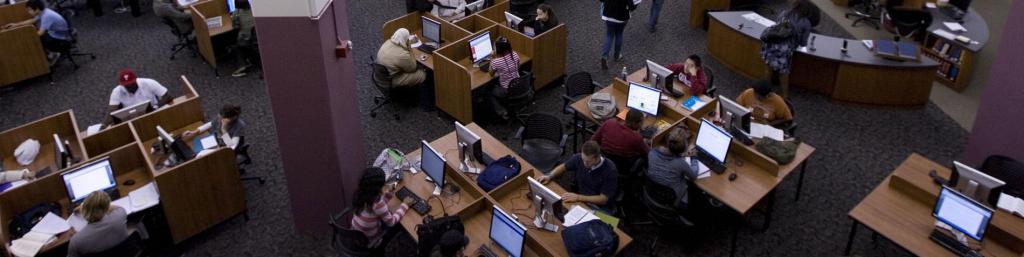 Students Studying in Paley Library