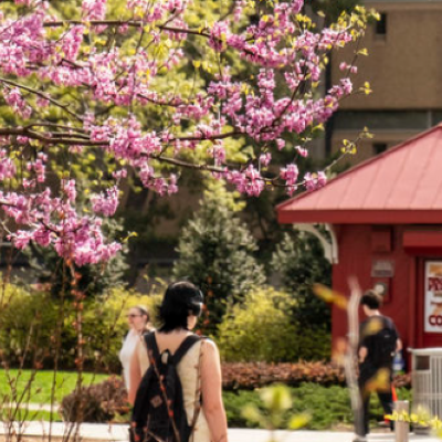 Featured Image for Temple University Welcomes University of the Arts Students