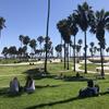 Students sitting on lawn by palm trees